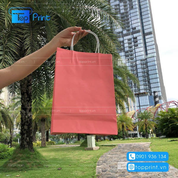 Mẫu in túi giấy đựng rau củ quả tại TOPPRINT