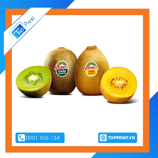 Tem dán thương hiệu theo yêu cầu