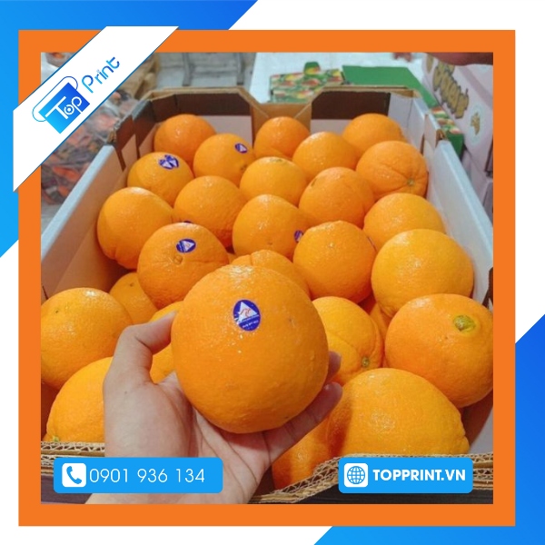 In nhãn mác sản phẩm trái cây