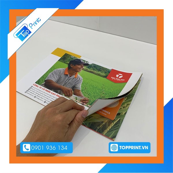 Mẫu catalogue A5 dạng ngang