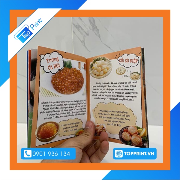Báo giá in catalogue tại xưởng in TOPPRINT