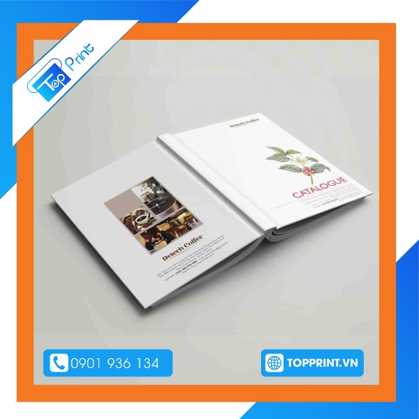 Mẫu catalogue bìa cứng sản phẩm cà phê