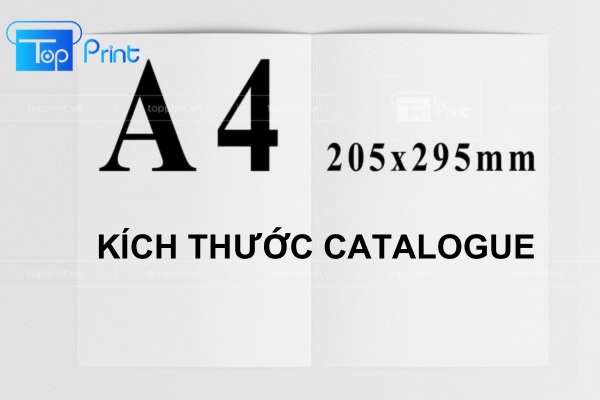 Kich thuoc 205x295mm A4 chuan