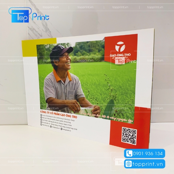 Mẫu catalogue giới thiệu công ty gạo