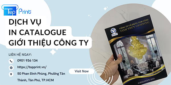 Dịch vụ in catalogue công ty giá rẻ tại TPHCM và Hà Nội