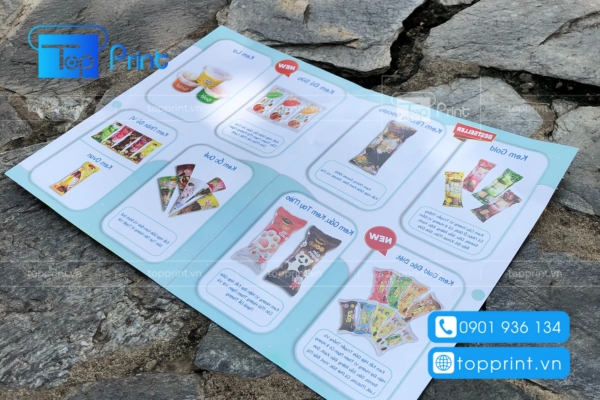 Bố cực thiết kế catalogue sản phẩm hợp lý