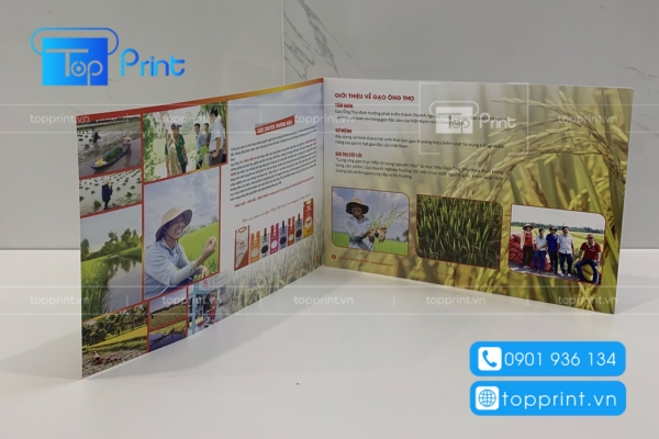 Mẫu catalogue du lịch