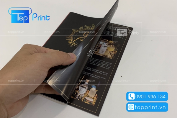 Mẫu catalog sản phẩm rượu cao cấp