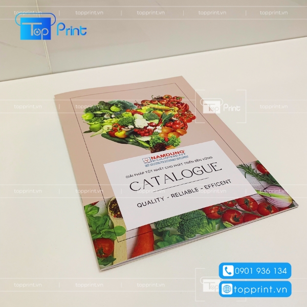 mau catalogue gioi thieu cong ty nong nghiep