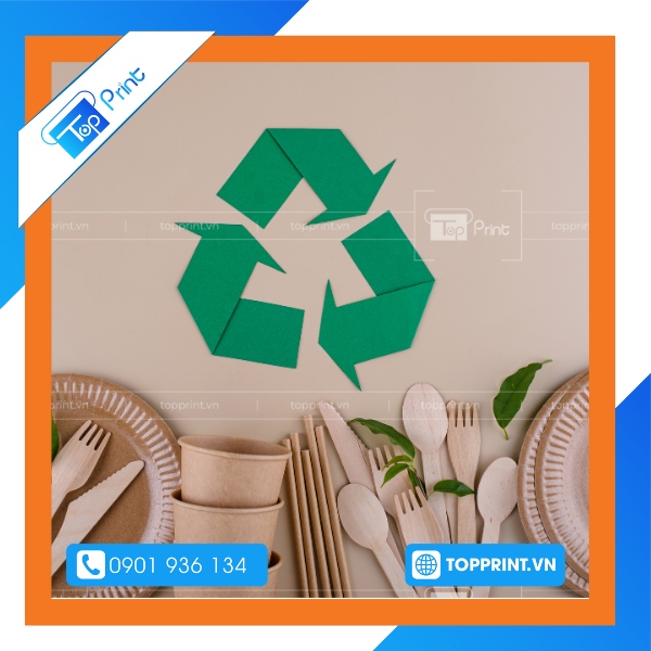 in hop giay dung thuc an gia si