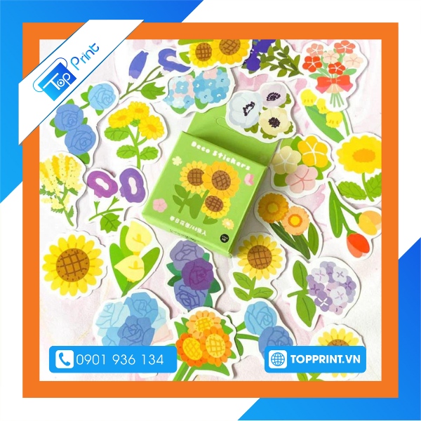sticker hoa