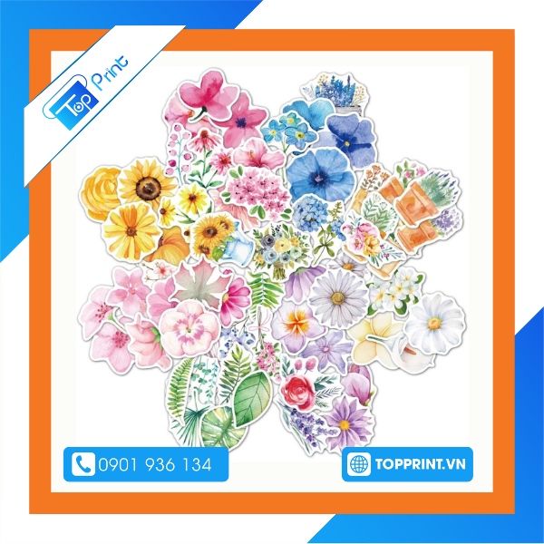 sticker hoa