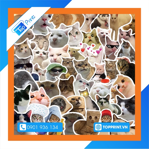 sticker meme meo