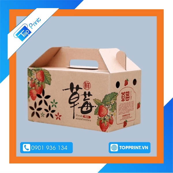 Mẫu hộp giấy quai xách đựng sản phẩm