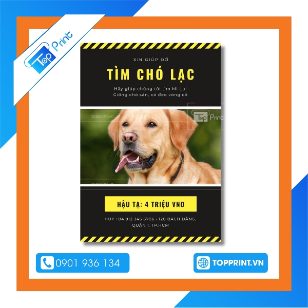 Thiết kế tờ rơi tìm chó đẹp