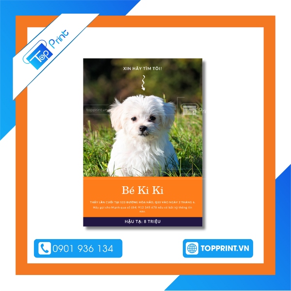 Mẫu tờ rơi tìm chó file PNG