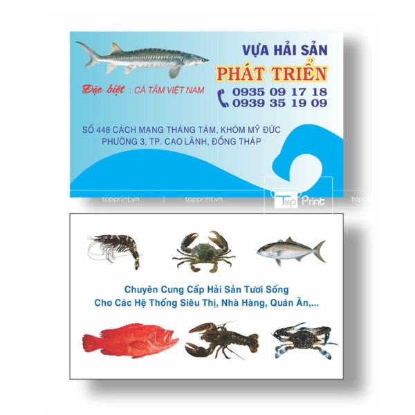 Mẫu card visit hải sản tôm, cá vô cùng sinh động, chân thật