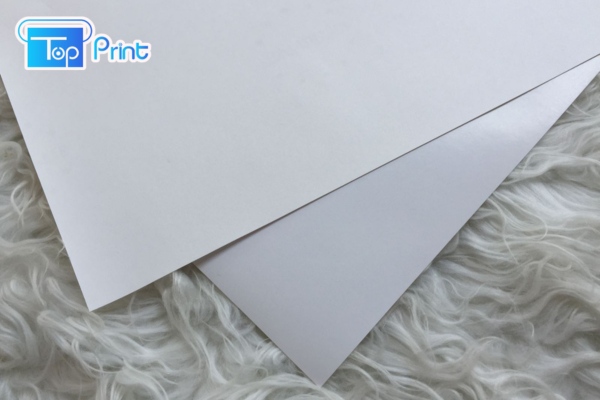 Giấy bristol láng mịn