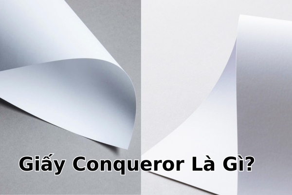Giấy Conqueror Là Gì? 6 Loại Giấy Conqueror Trong Ngành In Ấn