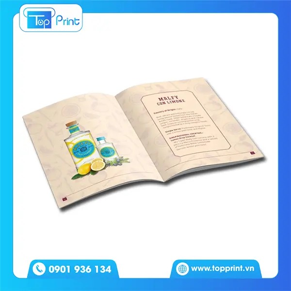 Mẫu catalogue rượu Gin