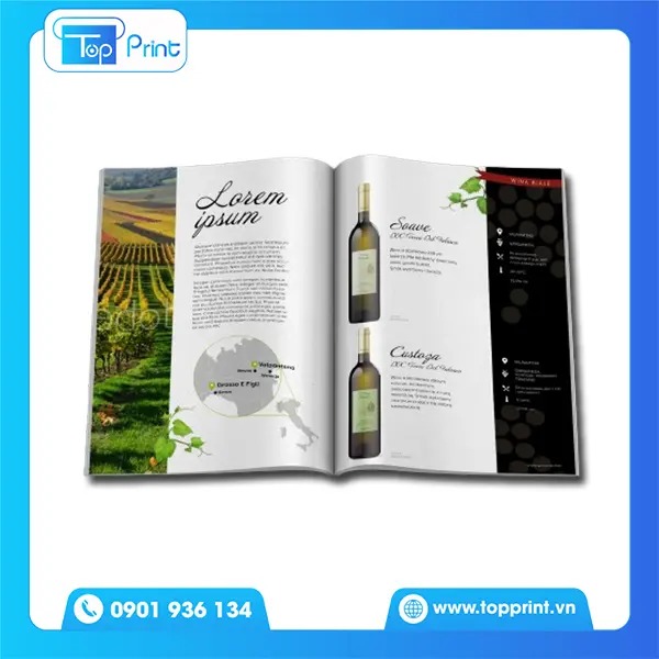 Địa chỉ thiết kế và in ấn catalogue rượu giá rẻ tại Hà Nội & TPHCM
