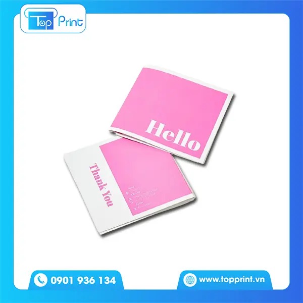 Catalogue Mini 