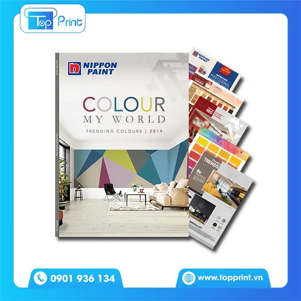 Catalogue Sơn 