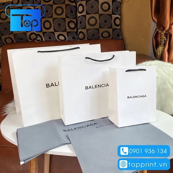 Tui-giay-balenciaga-1