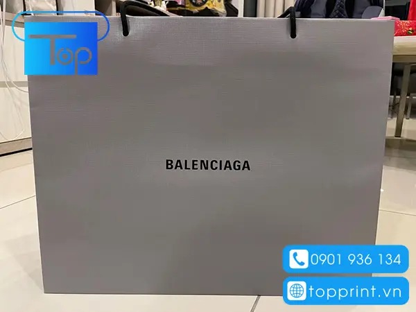 Tui-giay-balenciaga-3