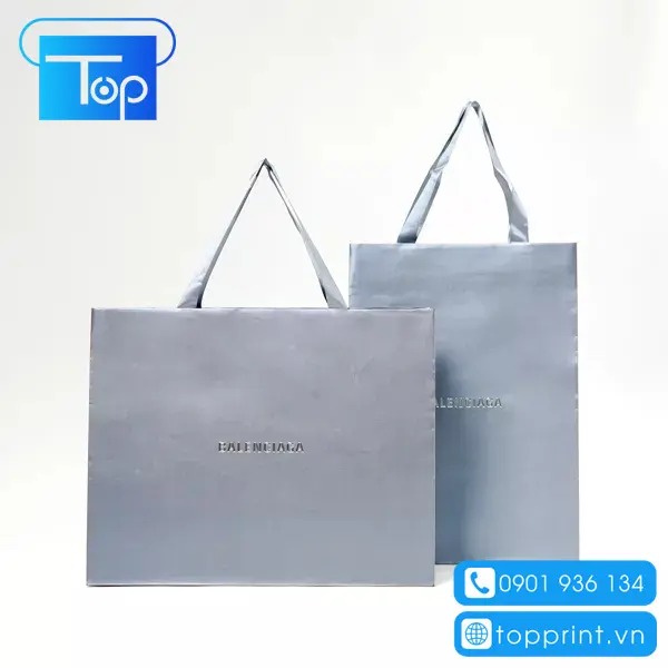 Tui-giay-balenciaga-4