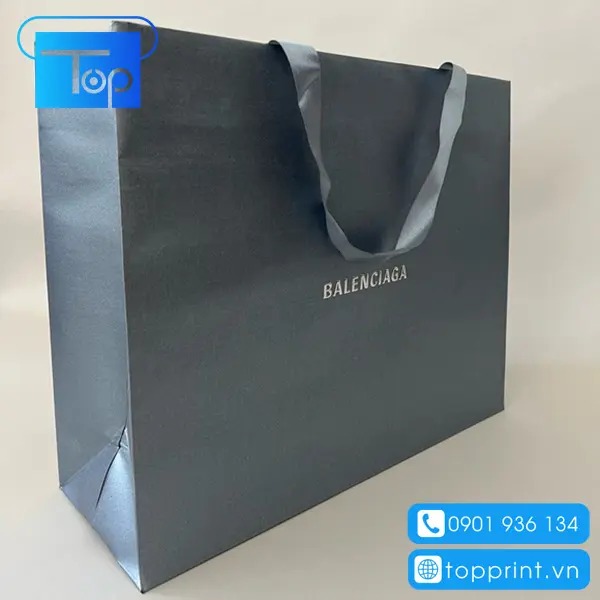 Tui-giay-balenciaga-6