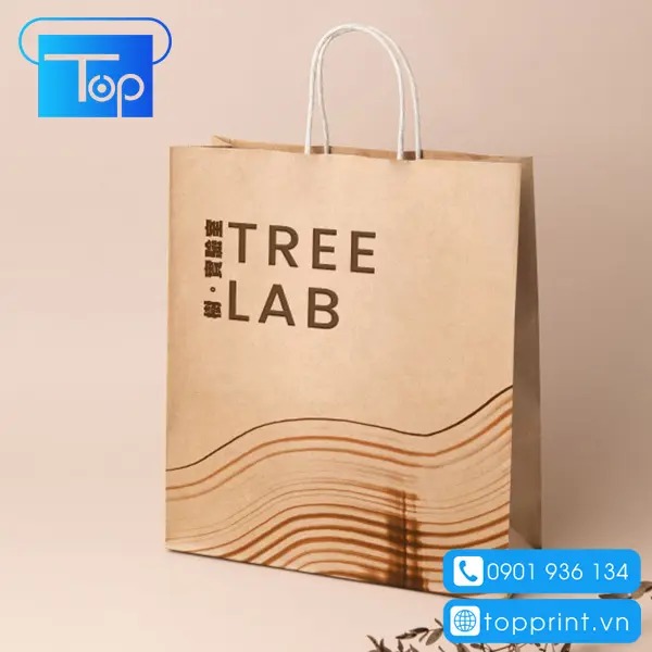 Tui-giay-kraft-co-quai-1
