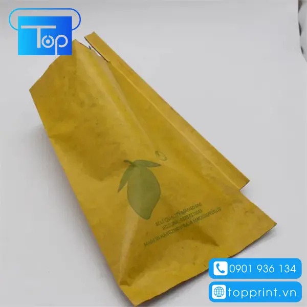 Mẫu túi giấy bao xoài ấn tượng