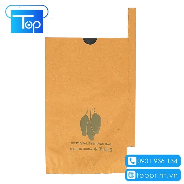 In ấn túi giấy bao xoài giá rẻ tại HCM & Hà Nội