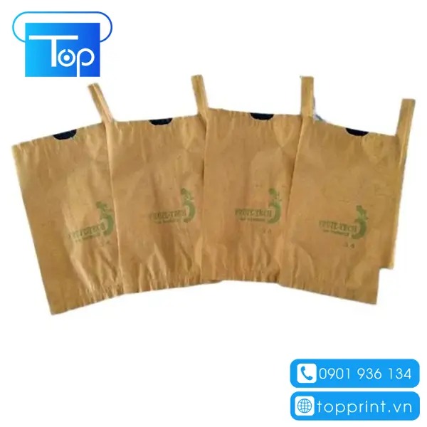 Địa chỉ thiết kế và in ấn túi giấy bao xoài đẹp, giá rẻ tại TPHCM & Hà Nội