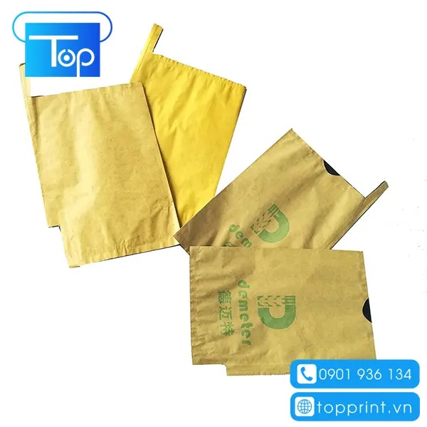 Mẫu túi giấy bao xoài phổ biến