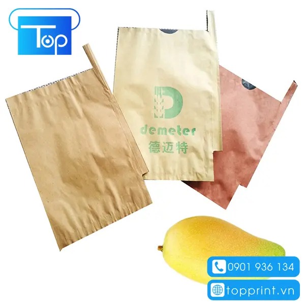 Mẫu túi giấy bao xoài chất lượng