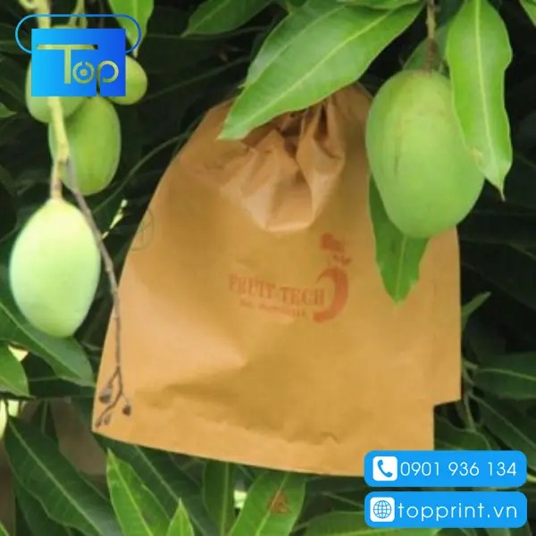 Mẫu túi giấy bao xoài giá rẻ
