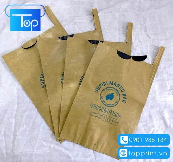 Mẫu túi giấy bao xoài đơn giản