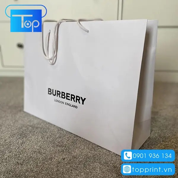 Tui-giay-burberry-10