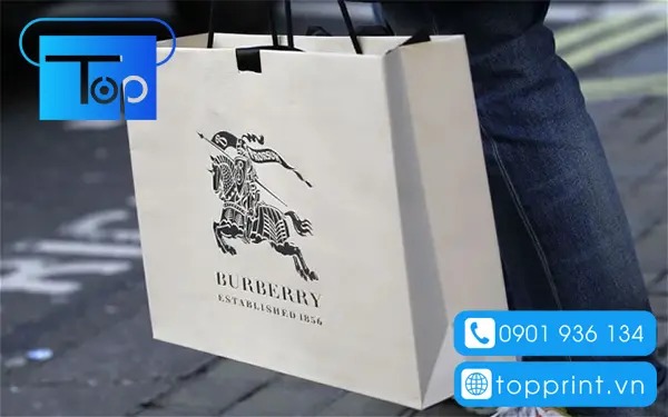 Tui-giay-burberry-11