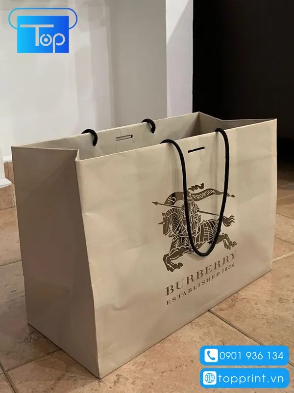 Tui-giay-burberry-3