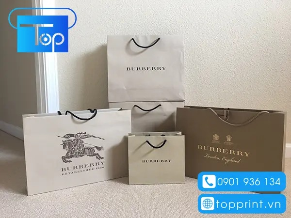 Tui-giay-burberry-4