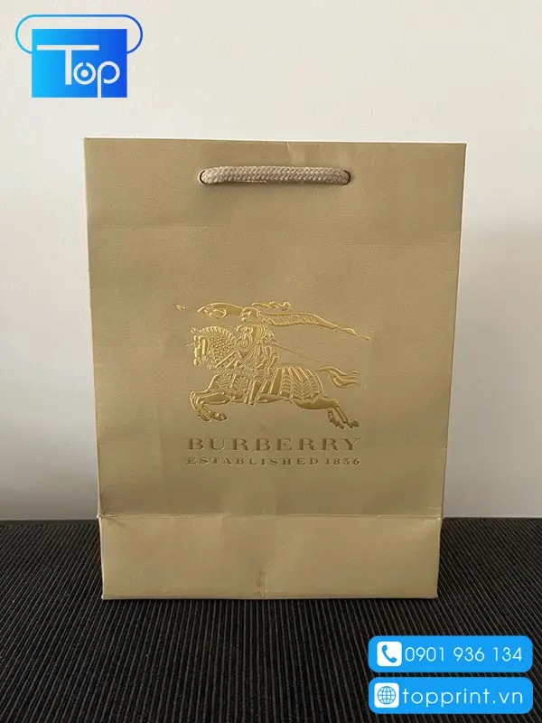 Tui-giay-burberry-7
