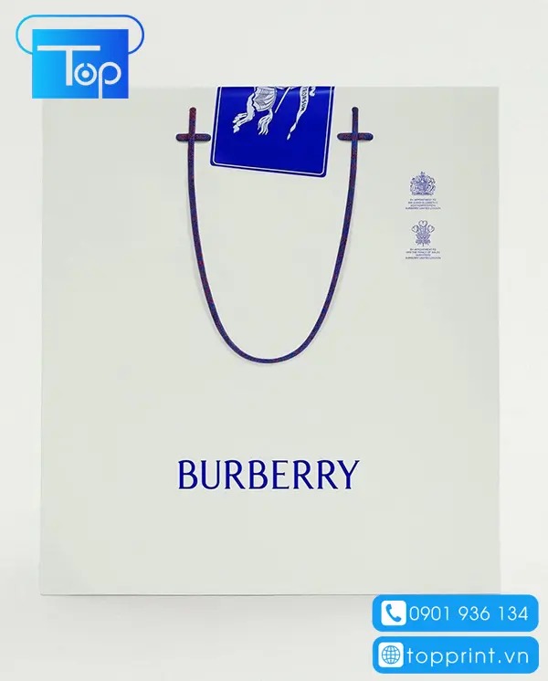 Tui-giay-burberry-9