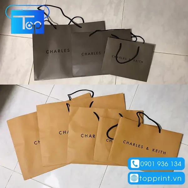 Tui-giay-charles-keith-10