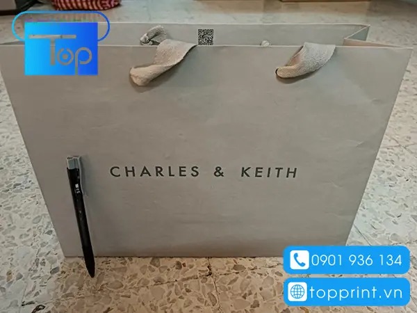 Tui-giay-charles-keith-2