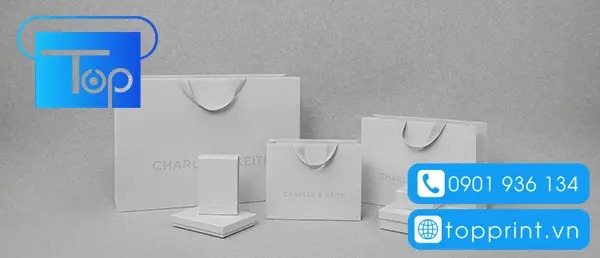 Tui-giay-charles-keith-3