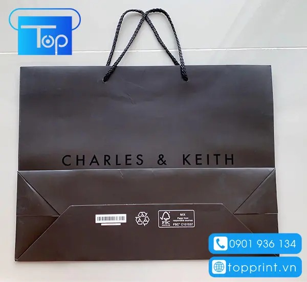 Tui-giay-charles-keith-4
