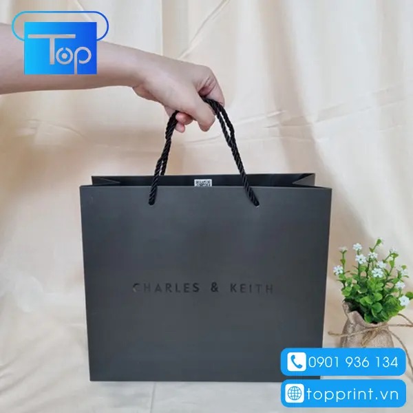 Tui-giay-charles-keith-5